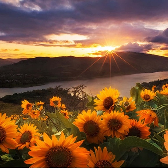 Meet your Posher, C - Picture 1 of 2